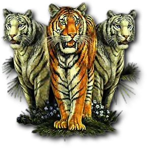 sticker_27118118_40976198