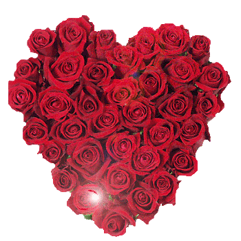 sticker_12017371_36731315
