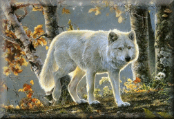 sticker_16562055_22722005