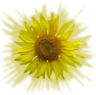 sticker_18141950_44213399