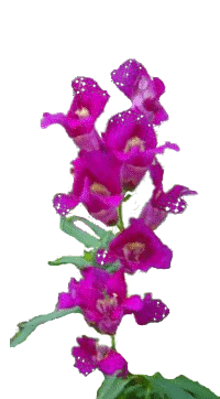 sticker_8462151_41680668