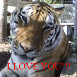 sticker_21048194_36394798