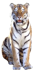 sticker_166449_2139649