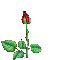 sticker_16148210_43716948
