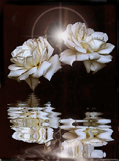 sticker_13214246_41052358