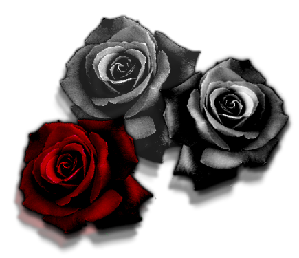sticker_21834330_32796153
