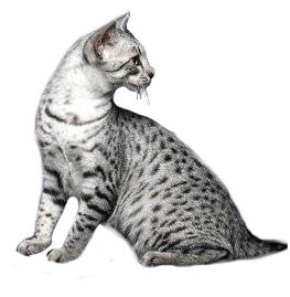 sticker_16735243_39424960