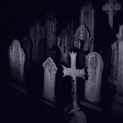 sticker_16990633_22101275