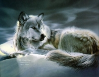 sticker_10067730_26769662