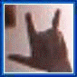 sticker_7534022_31958326