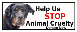 sticker_15813905_25842093