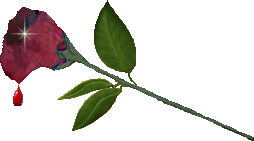 sticker_1972169_2540380