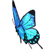 sticker_15535515_32930146