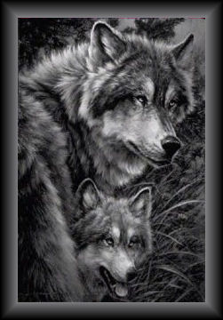 sticker_20021762_39975140