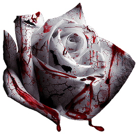 sticker_26066667_40645940