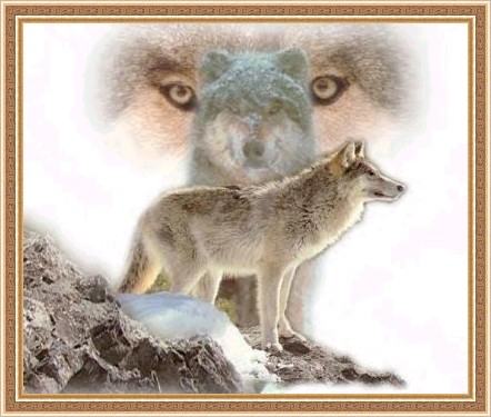 sticker_13134087_29593698