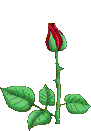 sticker_18824109_34835662