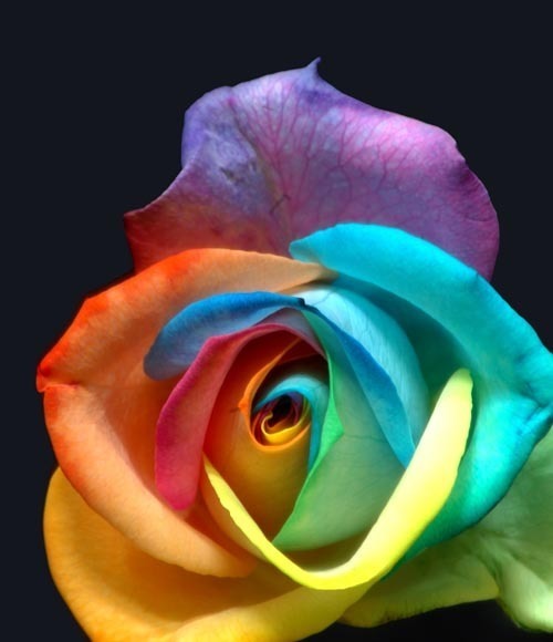 sticker_13229139_27547182