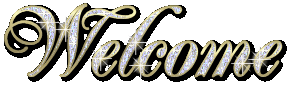 sticker_9739981_13502811