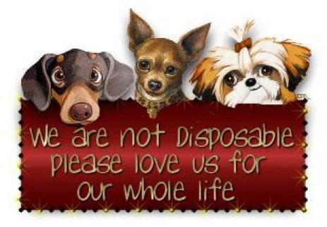 sticker_15516045_28813242