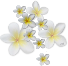 sticker_5602130_40022537