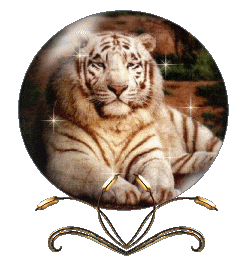 sticker_17655176_23301257