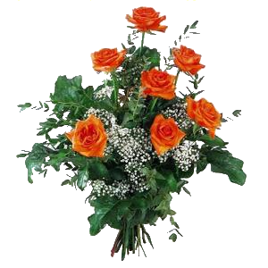 sticker_12316794_19625512