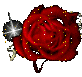 sticker_11930168_30832079