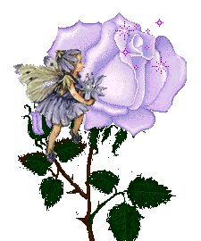 sticker_22943116_36108577