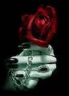 sticker_13229139_39684703