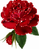sticker_4124716_5718432