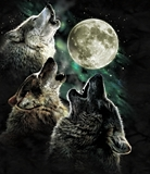 sticker_20004153_28819615