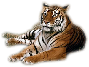 sticker_21635169_40926685