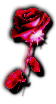 sticker_8987740_14113376