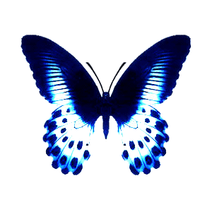 sticker_30062809_41399616