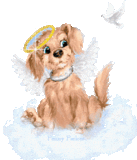 sticker_26535102_39708777