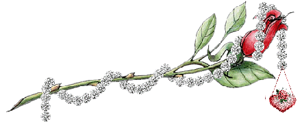 sticker_19169578_28717189