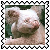 sticker_29836108_41172002