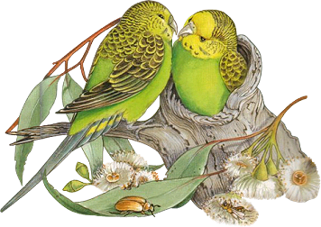 sticker_13297499_23255293