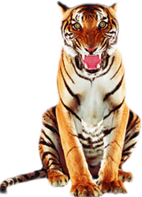 sticker_21635169_39097531