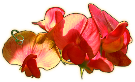 sticker_25709299_41577336