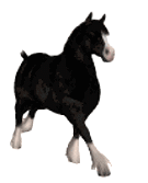 sticker_21155843_28631474