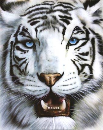 sticker_6135606_36527760