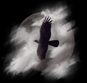 sticker_7608744_21538982
