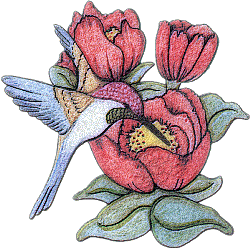 sticker_10611887_19779142