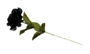 sticker_10848343_16796168