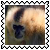 sticker_15619627_22566364