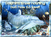 sticker_25934347_36385652