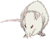 sticker_2856043_37707002