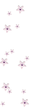 sticker_5252582_8154729